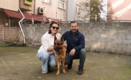 Çalınan köpekleri ‘Madam’ı buldular, baba tutuklandı, oğlu serbest
