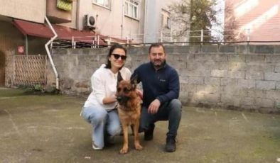 Çalınan köpekleri ‘Madam’ı buldular, baba tutuklandı, oğlu serbest