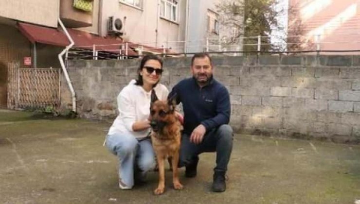 Çalınan köpekleri ‘Madam’ı buldular, baba tutuklandı, oğlu serbest