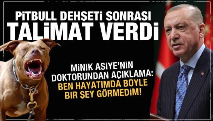 Gaziantep’teki pitbull dehşeti sonrası Erdoğan’dan talimat! Doktordan açıklama