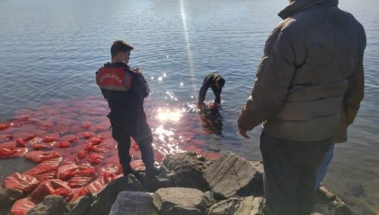 İzmir’de kaçakçılık operasyonu: 2 ton canlı midye denize bırakıldı!