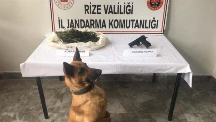 Rize’de uyuşturucu operasyonu: 2 gözaltı