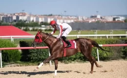 Son dakika haberleri… TSYD Ankara Şubesi Koşusu’nu ‘Unchained’ kazandı