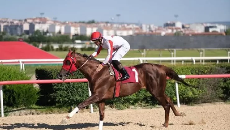 Son dakika haberleri… TSYD Ankara Şubesi Koşusu’nu ‘Unchained’ kazandı