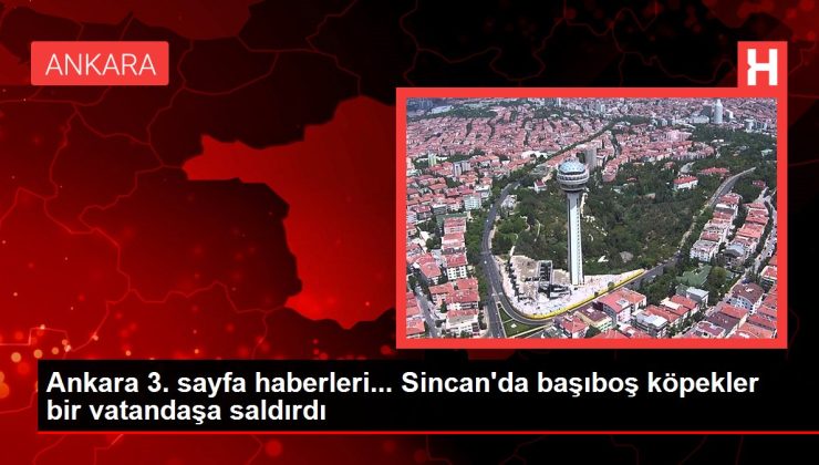 Ankara 3. sayfa haberleri… Sincan’da başıboş köpekler bir vatandaşa saldırdı