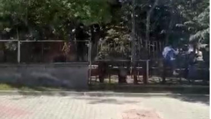 Öğrencilerin okuldan kaçışları tehlike saçıyor