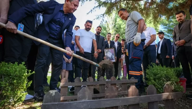 CHP’nin Kedisi Şero, Defin Töreniyle Gömüldü