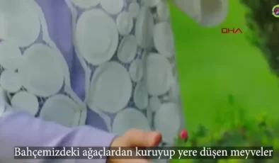 Sıfır Atık Hareketi’nin 7. Yılı: 7 Kıta, 7 Hedef