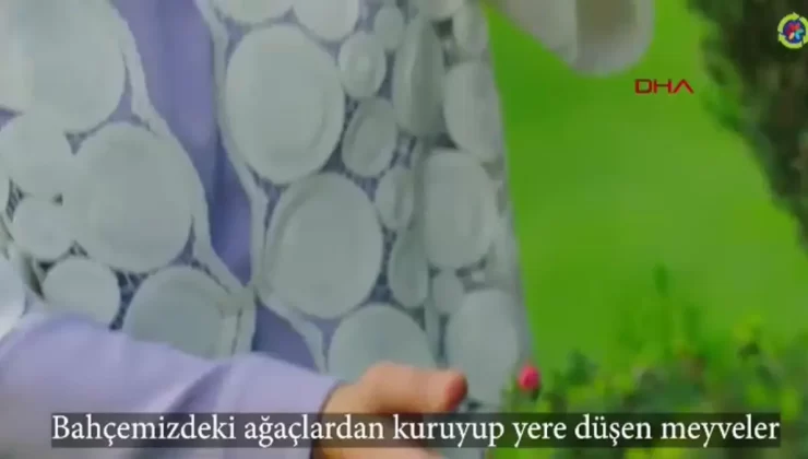 Sıfır Atık Hareketi’nin 7. Yılı: 7 Kıta, 7 Hedef