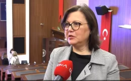 Türkiye Ulusal Solunum Koalisyonu, Solunum Hastalıklarına Dikkat Çekti